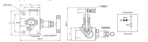 SM2V 2-Valve Manifold Valves - Image 2