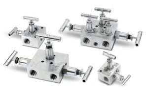 Manifold Valves